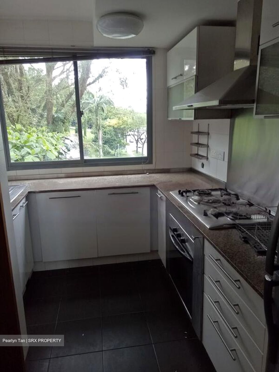 Adam Park Condominium (D11), Condominium #468090221